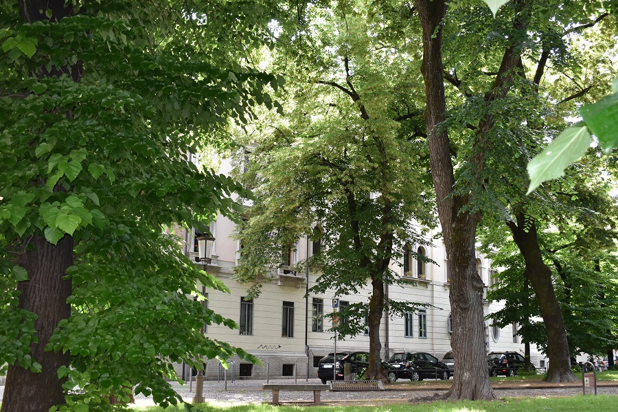 Tilia platyphyllos 40 Mag18 web