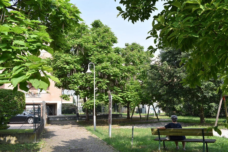 Catalpa Via Palestro