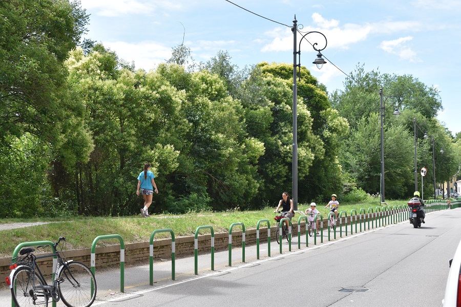 Ligustrum Argine Paleopaca