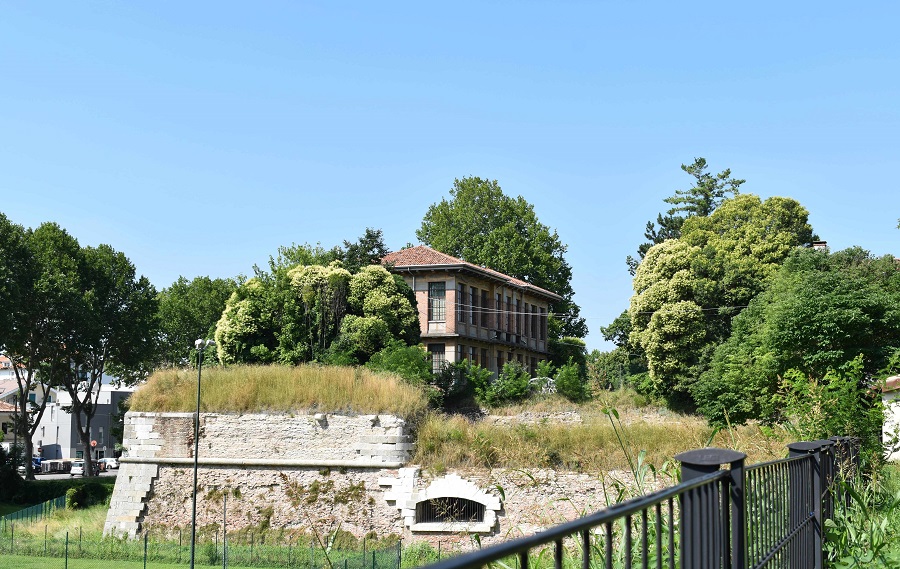 Ligustrum Bastione Santa Croce
