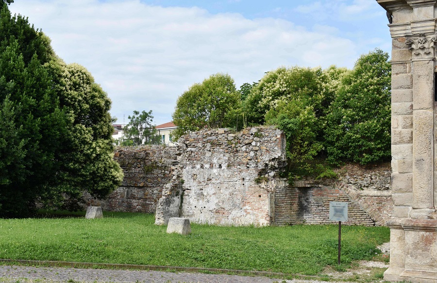 Ligustrum San Giovanni 1