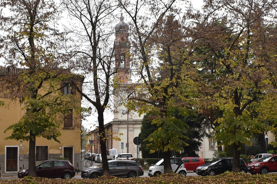 6c Tilia x europaea Nov18