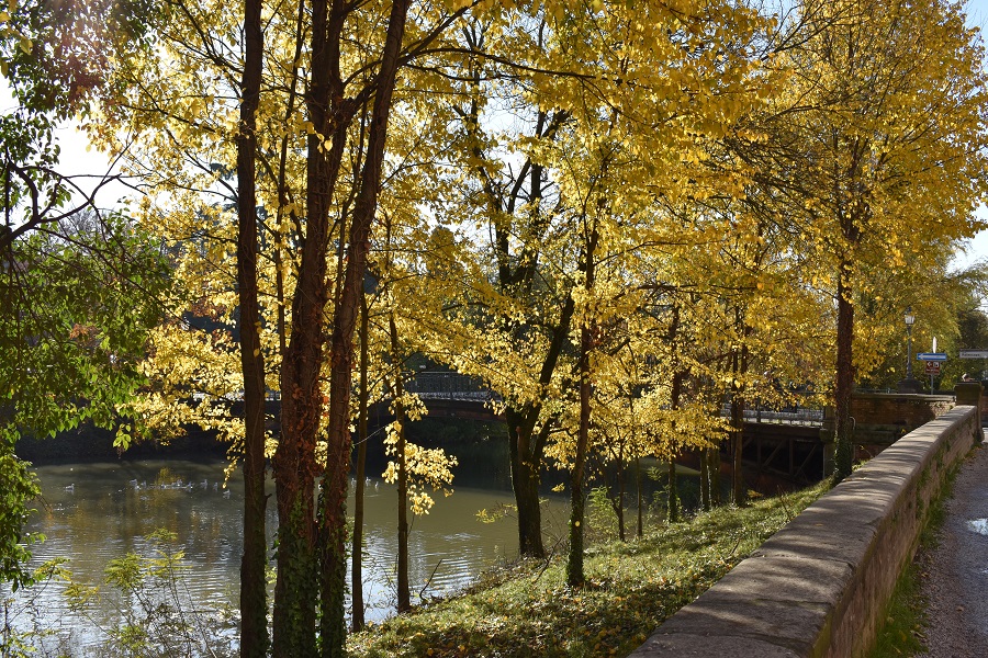 Piazza Delia Riviera Paleopaca 3