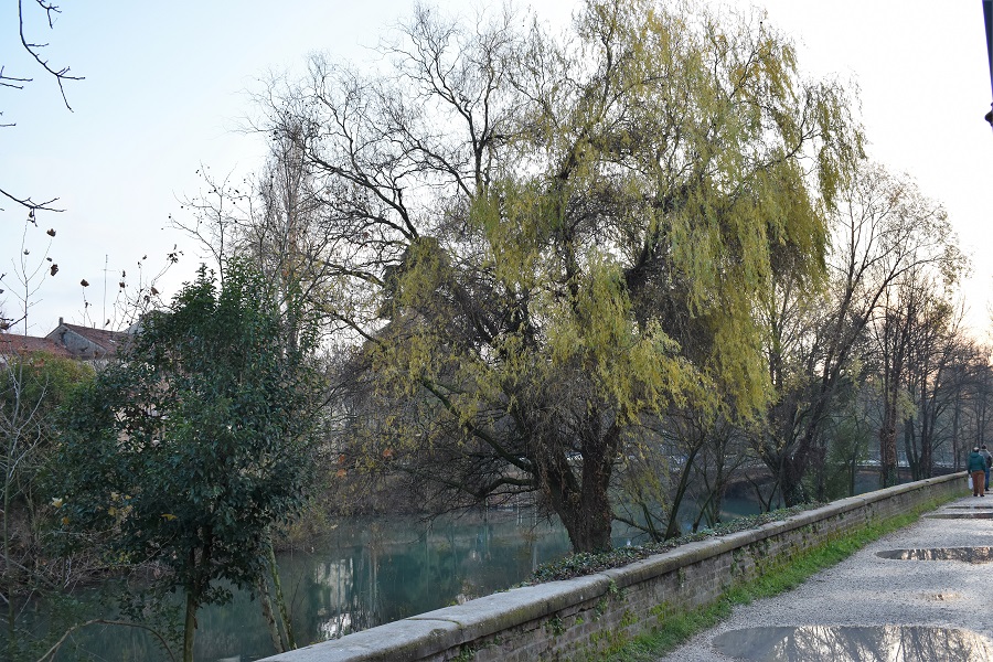 Piazza Delia Riviera San Benedetto 2