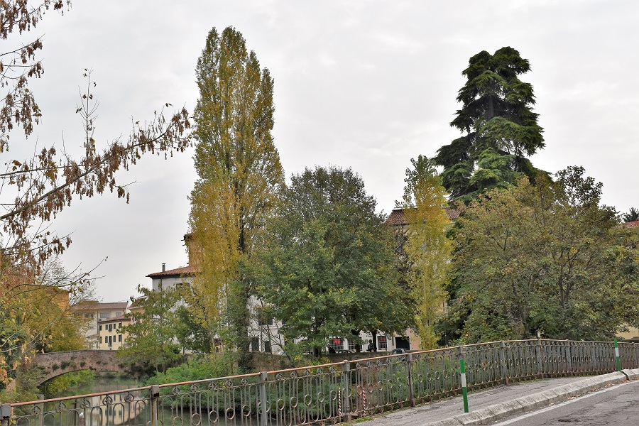 Piazza Delia panorama 2