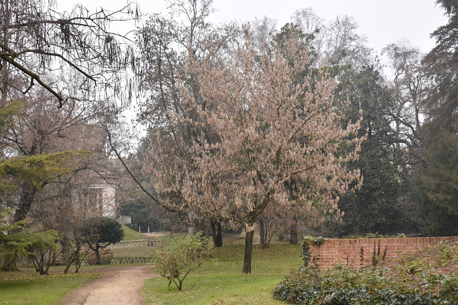 Portamento inverno 6