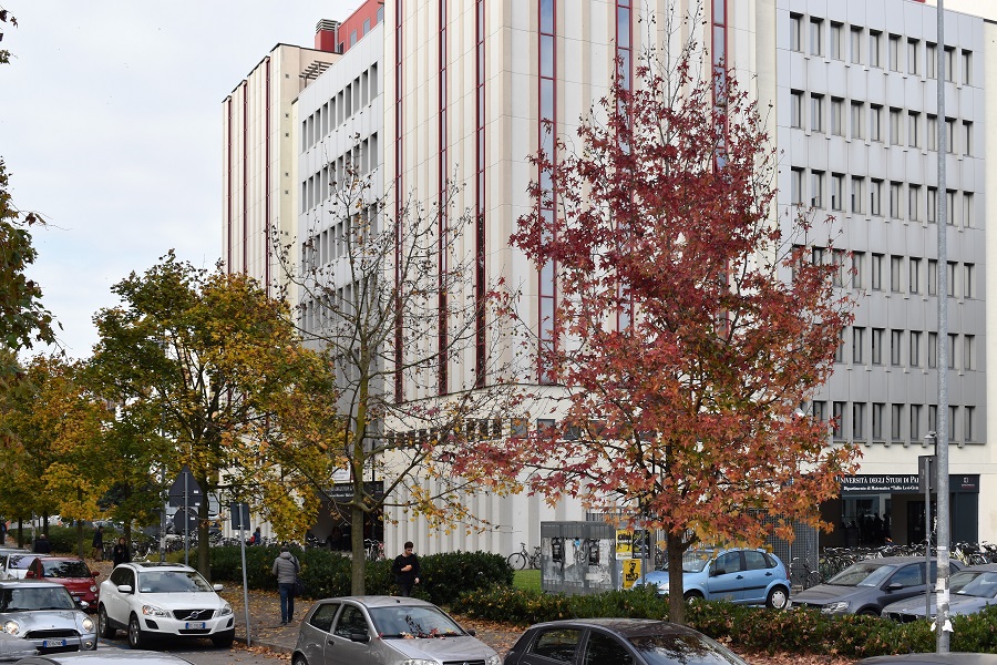 Liquidambar styraciflua 4 Nov18a
