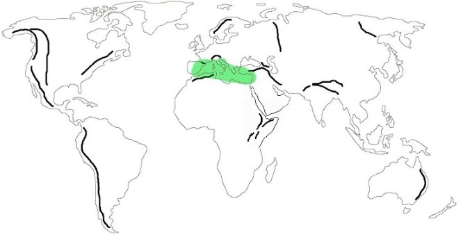 Pinus halepensis, Areale di origine