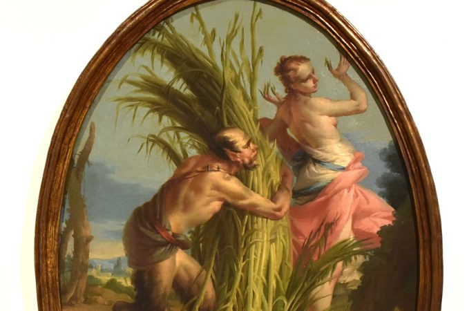 Quadro, mito Syringa.