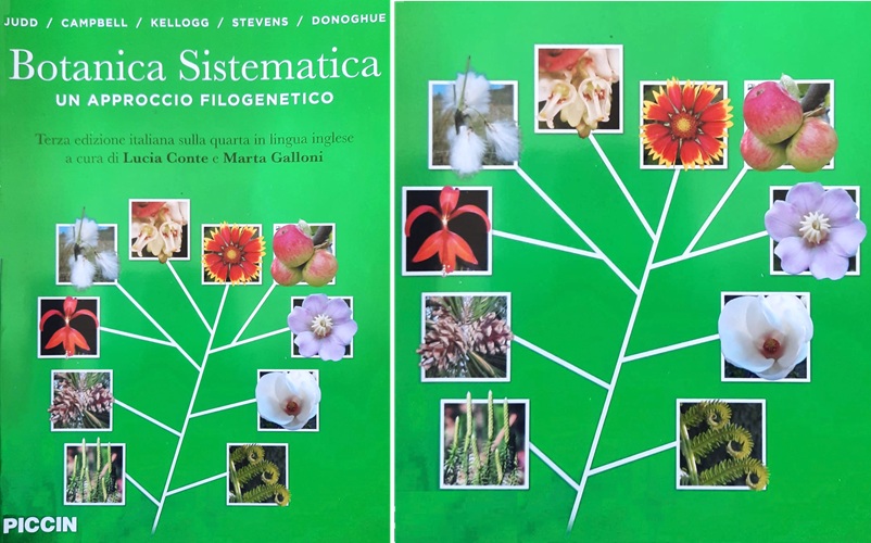 Judd, Plant Systematics, copertine edizione italiana.