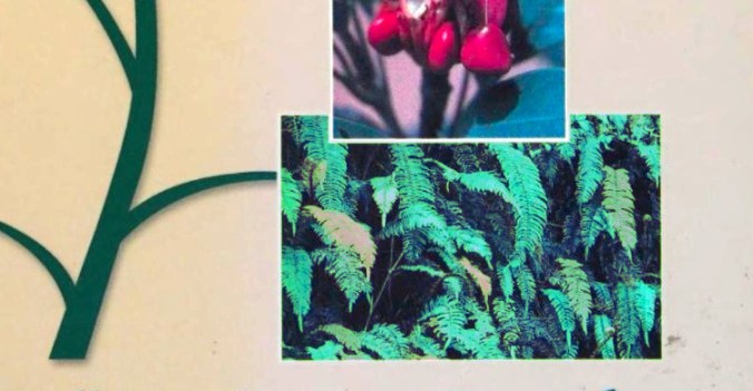 Judd, Plant Systematics, felci.