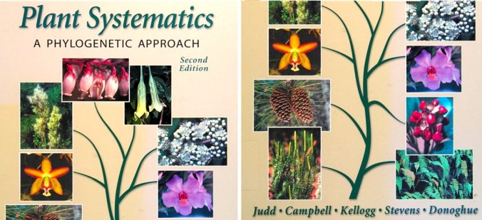 Judd, Plant Systematics, illustrazione.