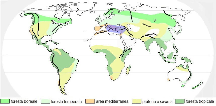 Carpinus orientalis. Areale di origine.