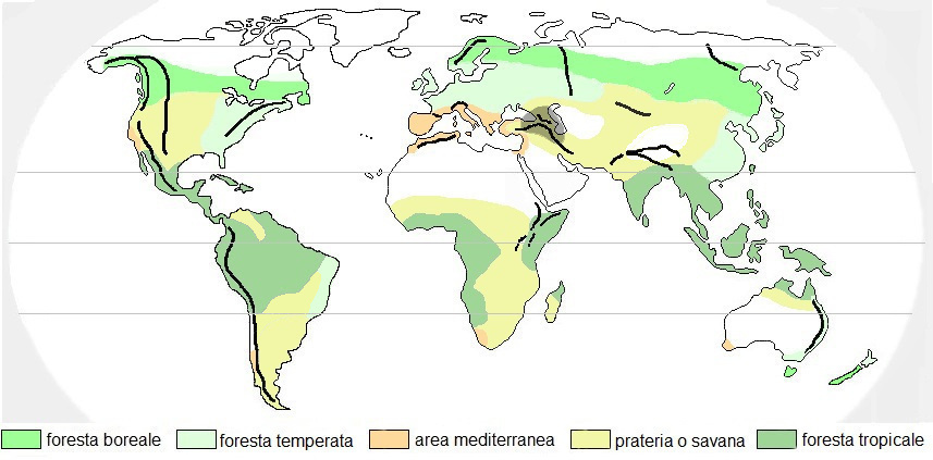 Pterocarya fraxinifolia, areale di origine.