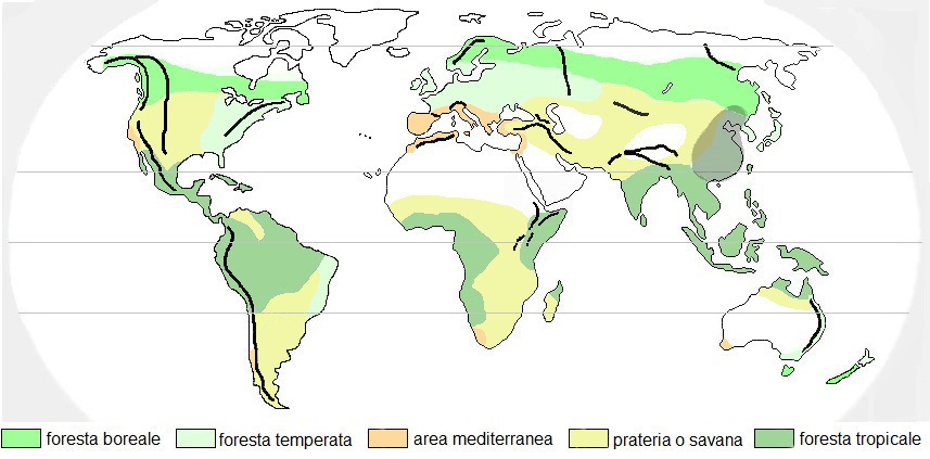 Pterocarya stenoptera, areale di origine.